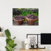 Druivenoogst Poster (Thuiskantoor)