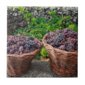 Druivenoogst Tegeltje (Voorkant)