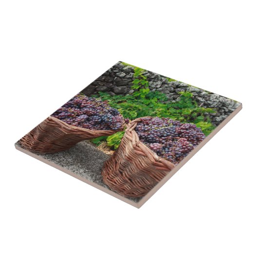 Druivenoogst Tegeltje (Zijkant)