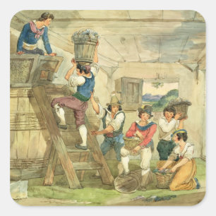 Druivenplukkers die druiven naar de pers brengen vierkante sticker