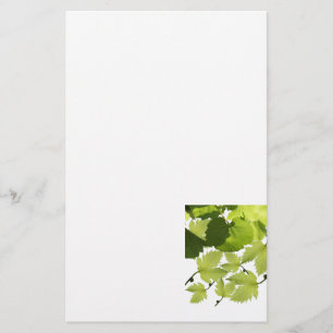 Druivenrank Groene Bladeren Briefpapier