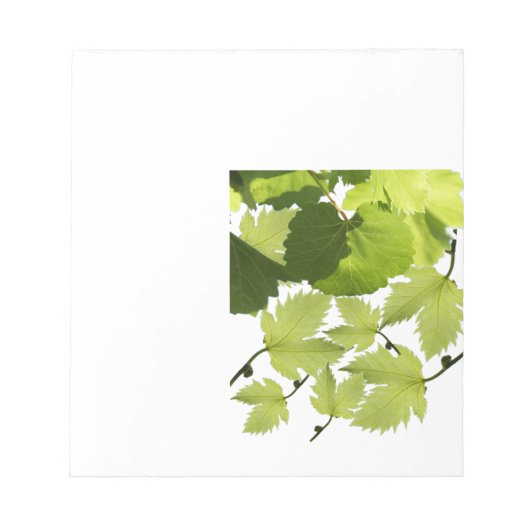 Druivenrank Groene Bladeren Notitieblok (Voorkant)