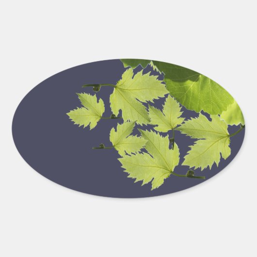 Druivenrank Groene Bladeren Ovale Sticker (Voorkant)