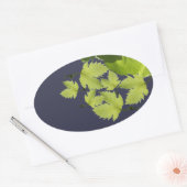 Druivenrank Groene Bladeren Ovale Sticker (Envelop)