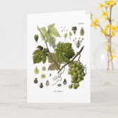 Druivenstok Kaart (Gele Bloem)