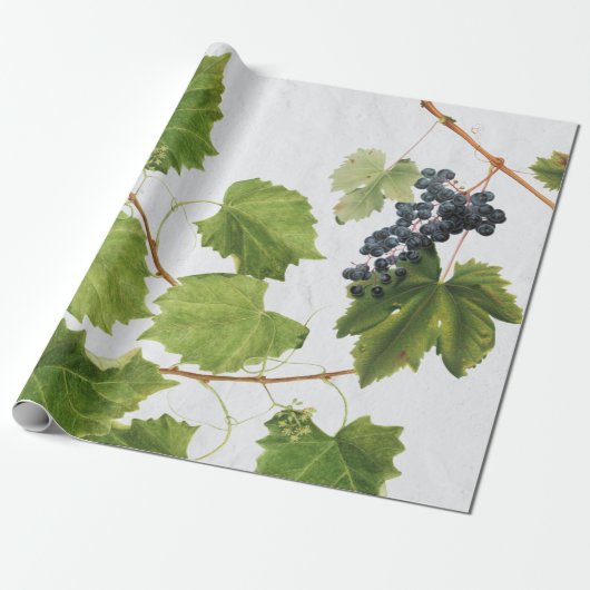 Druiventuin Grieks eiland Middellandse Zee Cadeaupapier (Uitgerold)