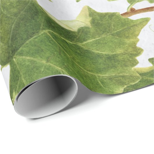 Druiventuin Grieks eiland Middellandse Zee Cadeaupapier (Rol Hoek)