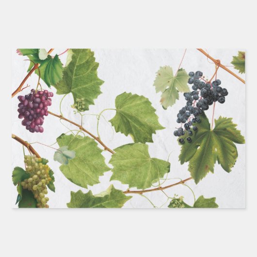 Druiventuin Grieks eiland Middellandse Zee Inpakpapier Vel (Voorkant 3)