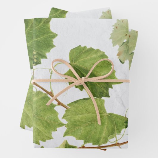 Druiventuin Grieks eiland Middellandse Zee Inpakpapier Vel (In situ)