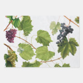 Druiventuin Grieks eiland Middellandse Zee Inpakpapier Vel (Voorkant)