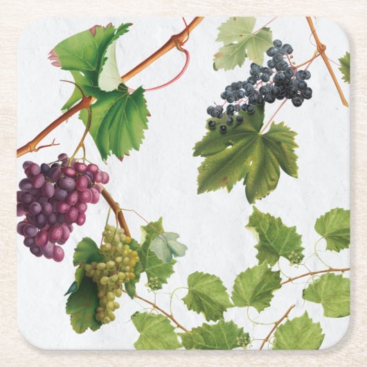 Druiventuin Grieks eiland Middellandse Zee Kartonnen Onderzetters (Voorkant)