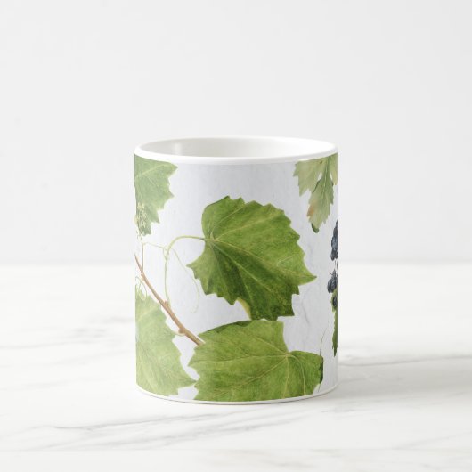 Druiventuin Grieks eiland Middellandse Zee Koffiemok (Center)