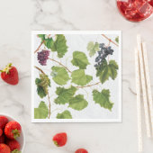 Druiventuin Grieks eiland Middellandse Zee Servet (Insitu)