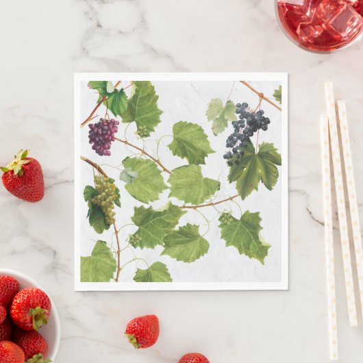 Druiventuin Grieks eiland Middellandse Zee Servet (Insitu)