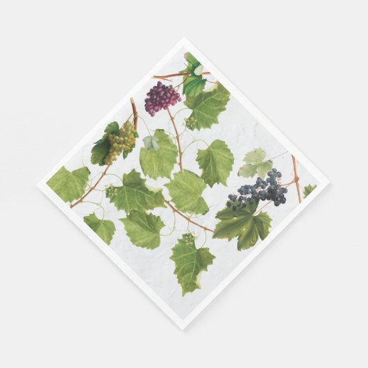 Druiventuin Grieks eiland Middellandse Zee Servet (Hoek)