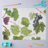 Druiventuin Grieks eiland Middellandse Zee Tissuepapier (Craft)