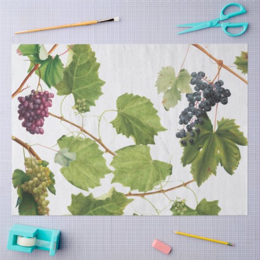 Druiventuin Grieks eiland Middellandse Zee Tissuepapier (Craft)