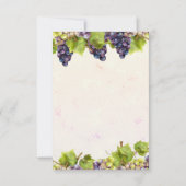 Druiventuin Middellandse Zee Kaart (Achterkant)