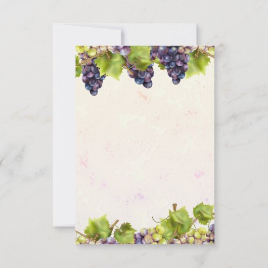 Druiventuin Middellandse Zee Kaart (Achterkant)