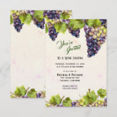 Druiventuin Middellandse Zee Kaart (Voorkant / Achterkant)