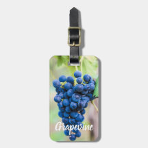 Druivenwijn en wijndruivenwijnbouwdepot