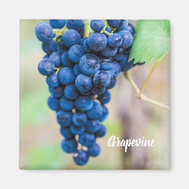 Druivenwijn en wijndruivenwijnbouwdepot magneet