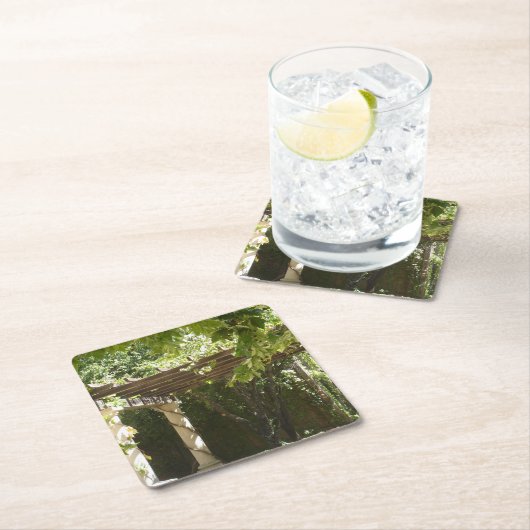 Druivenwijn Napa Kartonnen Onderzetters (Insitu)