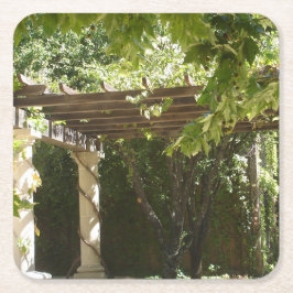 Druivenwijn Napa Kartonnen Onderzetters