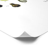 Druivenwijn Poster (Hoek)