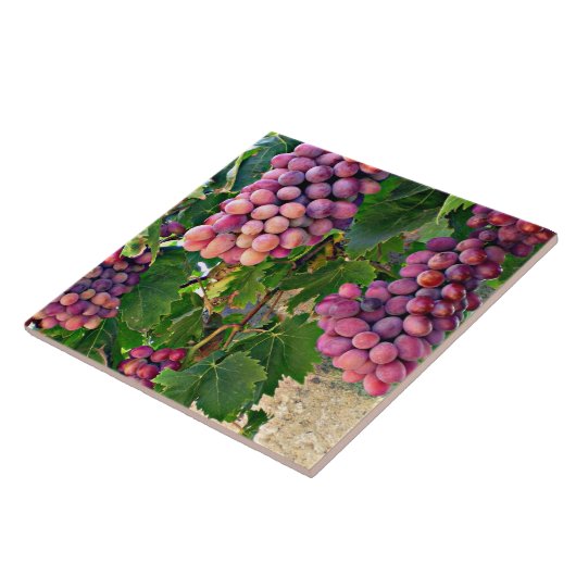 Druivenwijn Tegeltje (Zijkant)