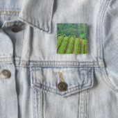 Druivenwijngaarden bij Newberg Oregon Vierkante Button 5,1 Cm (In situ)