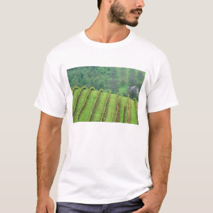 Druivenwijngaarden nabij Newberg Oregon T-shirt