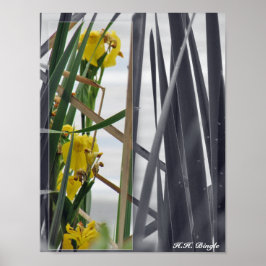 DRUK - Gele Wildflowers Poster
