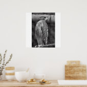 Druk op Falcon B/W Poster (Keuken)