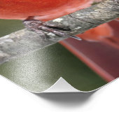 Druk op noordelijke foto's foto afdruk (Hoek)