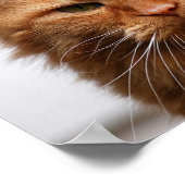 Druk op Noors boskat Poster (Hoek)