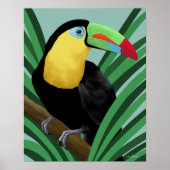Druk op Toucan Poster (Voorkant)