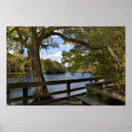 Druk van Suwannee River Boardwalk Poster