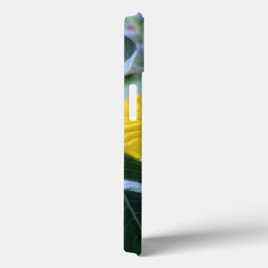 Drukke Bee iPhone hoesjes (Achterkant / Rechts)