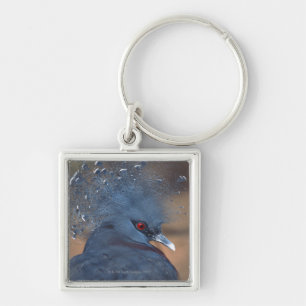 drukke duif sleutelhanger