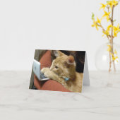 DRUKKE KAT ZEGT ***FIJNE VERJAARDAG** AAN U KAART (Gele Bloem)