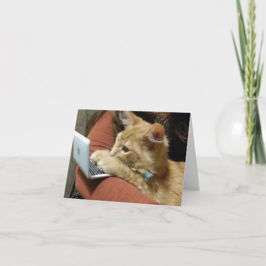 DRUKKE KAT ZEGT ***FIJNE VERJAARDAG** AAN U KAART (Voorkant)