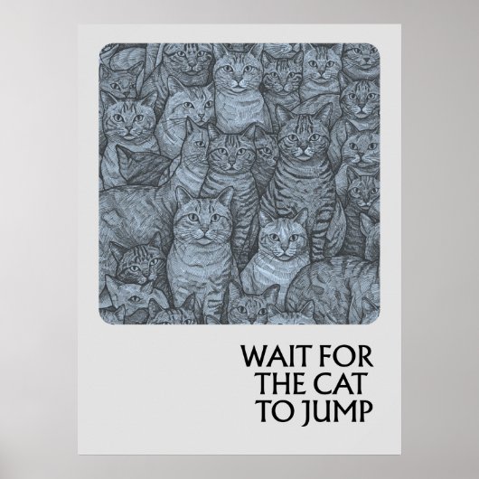 Drukke katten - spreekwoorden poster (Voorkant)