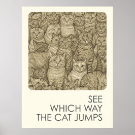 Drukke katten - spreekwoorden poster