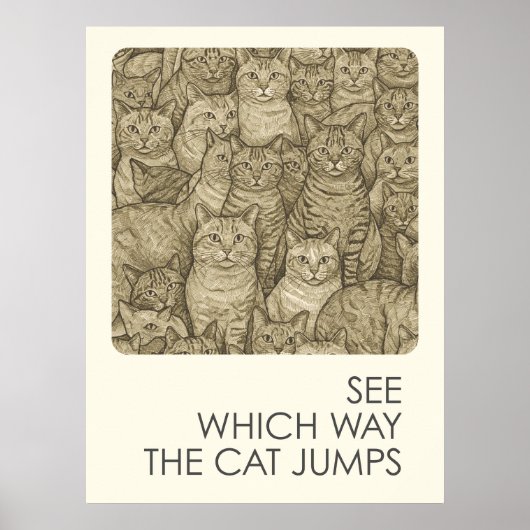 Drukke katten - spreekwoorden poster (Voorkant)