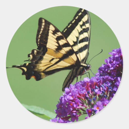 Drukke vlinder Stickers (Voorkant)