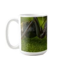 Drukke zwarte mier op een groen blad