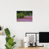 Drummond Phlox, Phlox drummondi, Hilton Head Poster (Thuiskantoor)