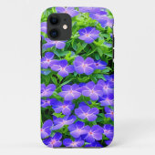 Drummond's clematis - een schattige kleine blauwe Case-Mate iPhone case (Achterkant)