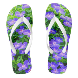 Drummond's clematis - een schattige kleine blauwe  teenslippers